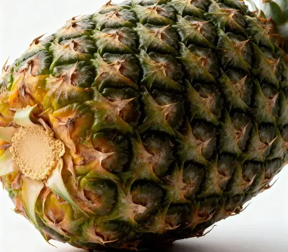 A whole pineapple, the source of bromelain