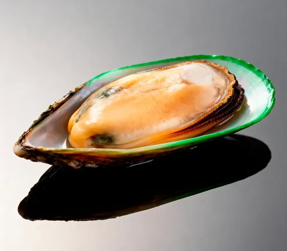 A green-lipped mussel shell, a common shellfish source